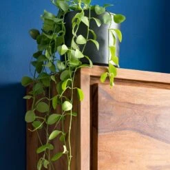 Colonne Salle De Bain TRANGLE 2 Portes -Le Coin Bain Parfait Boutique 1000292023 230726 031 DETAILS P000000001000292023