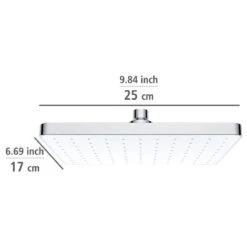 Wenko Pommeau De Douche Cleaning II -Le Coin Bain Parfait Boutique 1000352463 220519 500 SKETCH DETAILS P000000001000352463 sketch